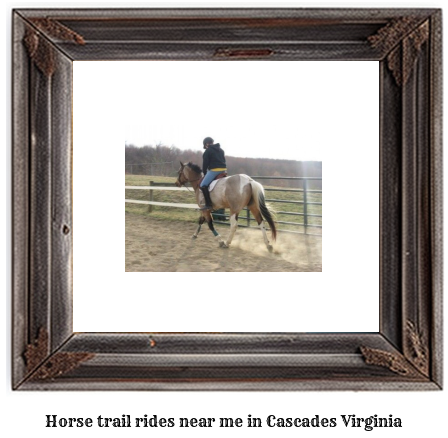 horse trail rides near me in Cascades, Virginia